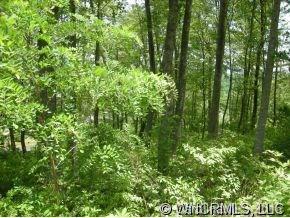 253 Tanglewood Drive Mills River NC 28759