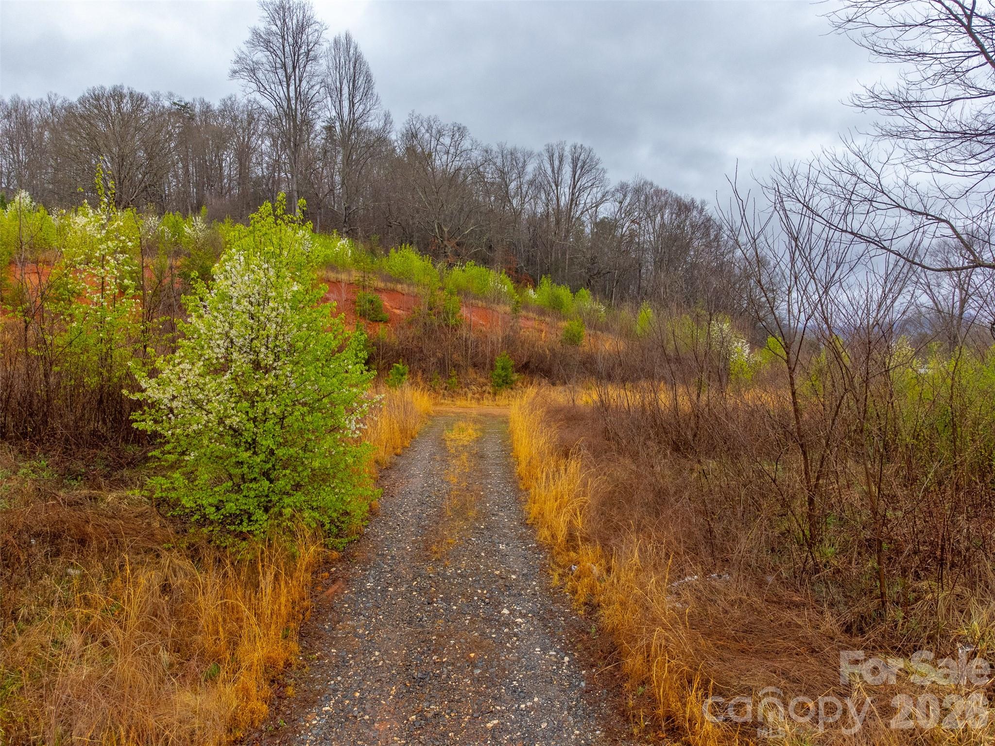 0 Connor Road Sylva NC 28779