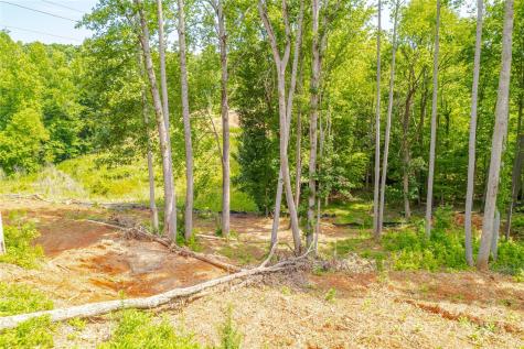 345 Squirrel Lane Clover SC 29710