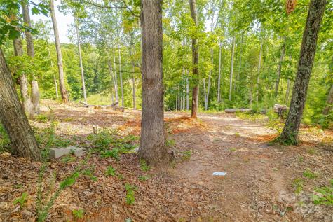 345 Squirrel Lane Clover SC 29710
