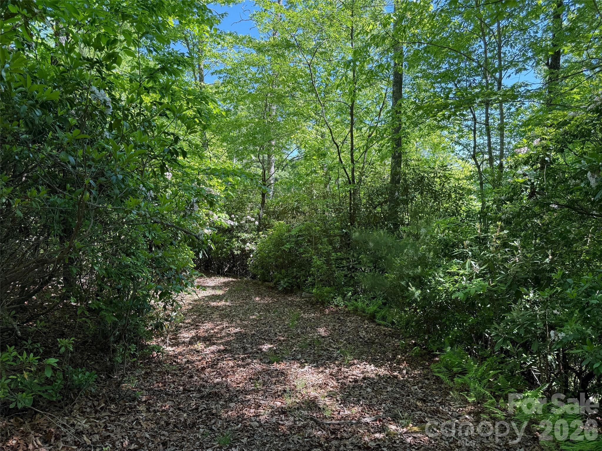 10C Reserve Road Pisgah Forest NC 28768