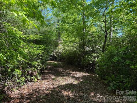 10C Reserve Road Pisgah Forest NC 28768