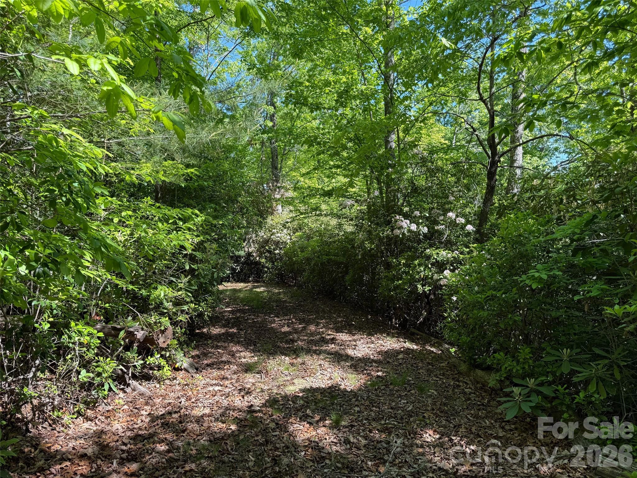 10C Reserve Road Pisgah Forest NC 28768