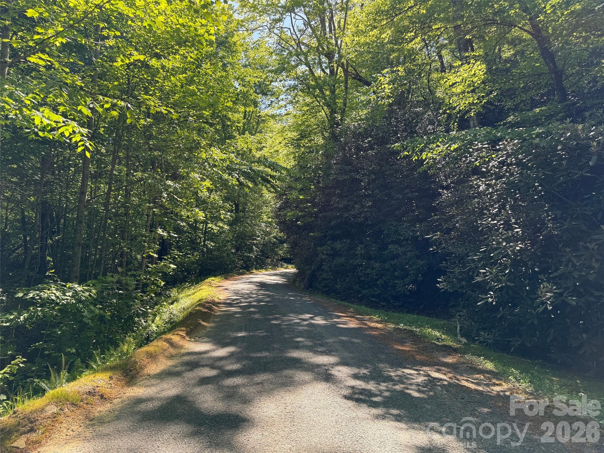10C Reserve Road Pisgah Forest NC 28768