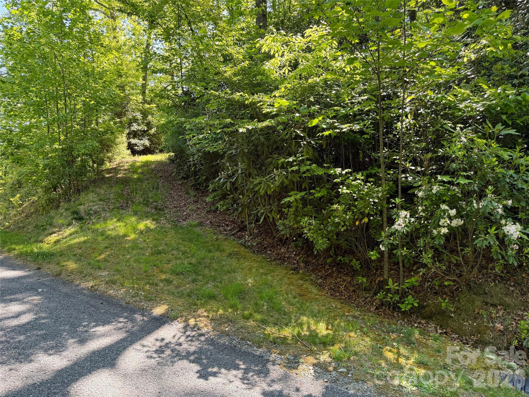 10C Reserve Road Pisgah Forest NC 28768