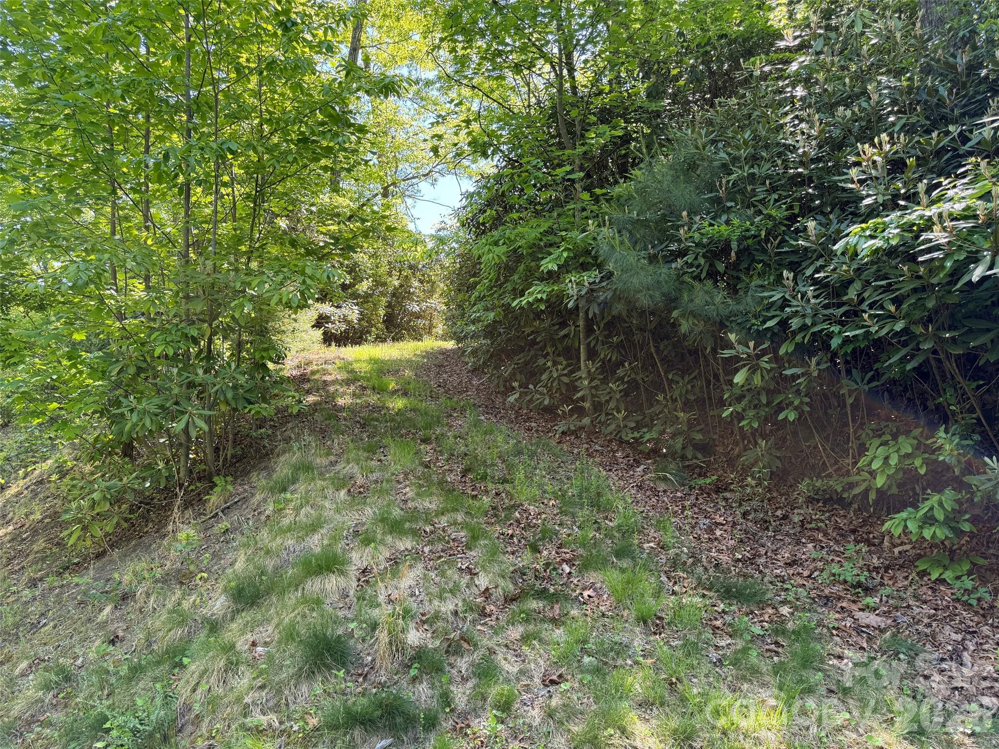 10C Reserve Road Pisgah Forest NC 28768