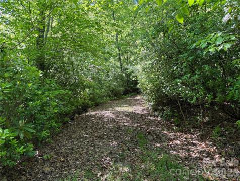 10C Reserve Road Pisgah Forest NC 28768