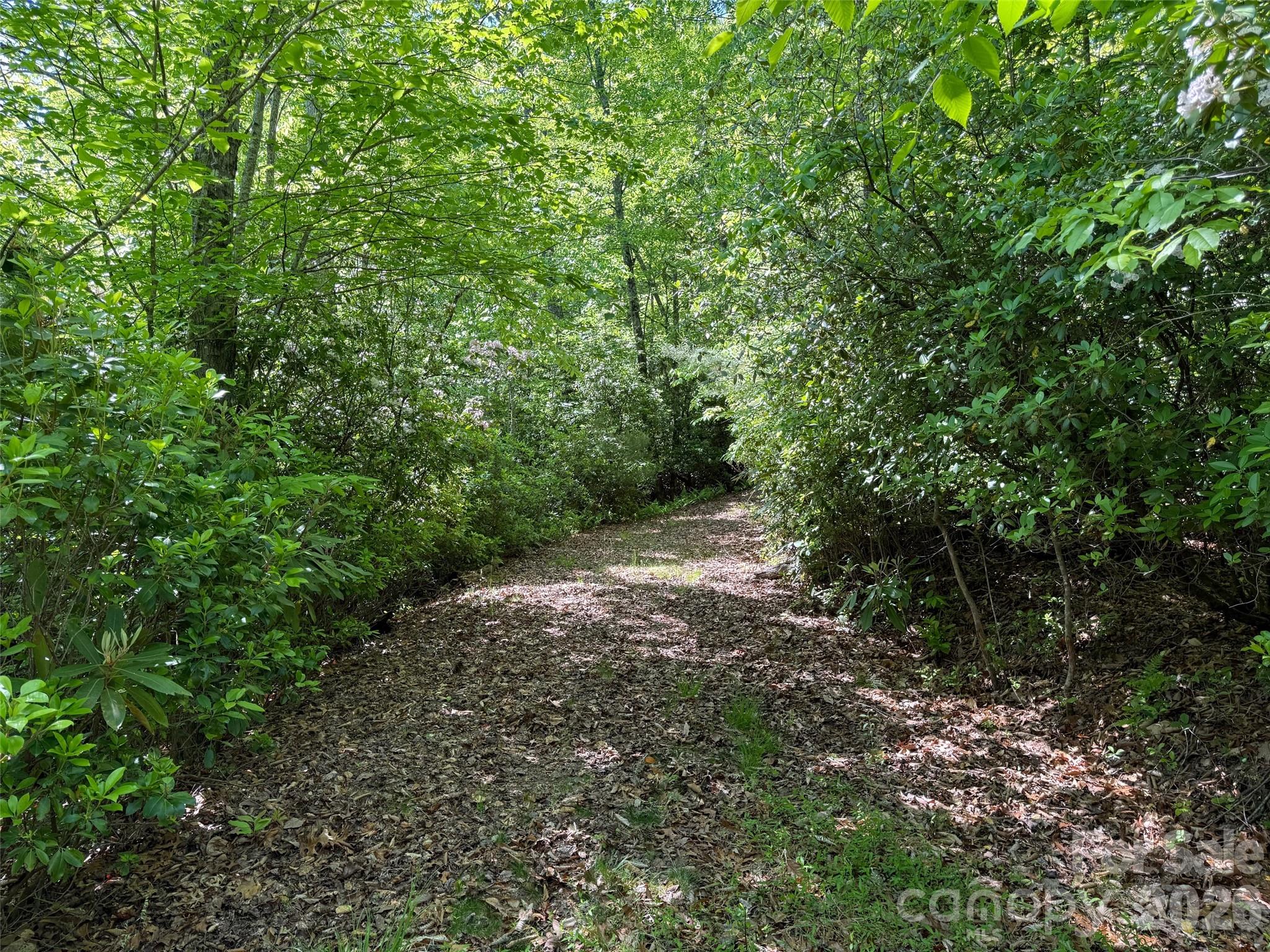 10C Reserve Road Pisgah Forest NC 28768