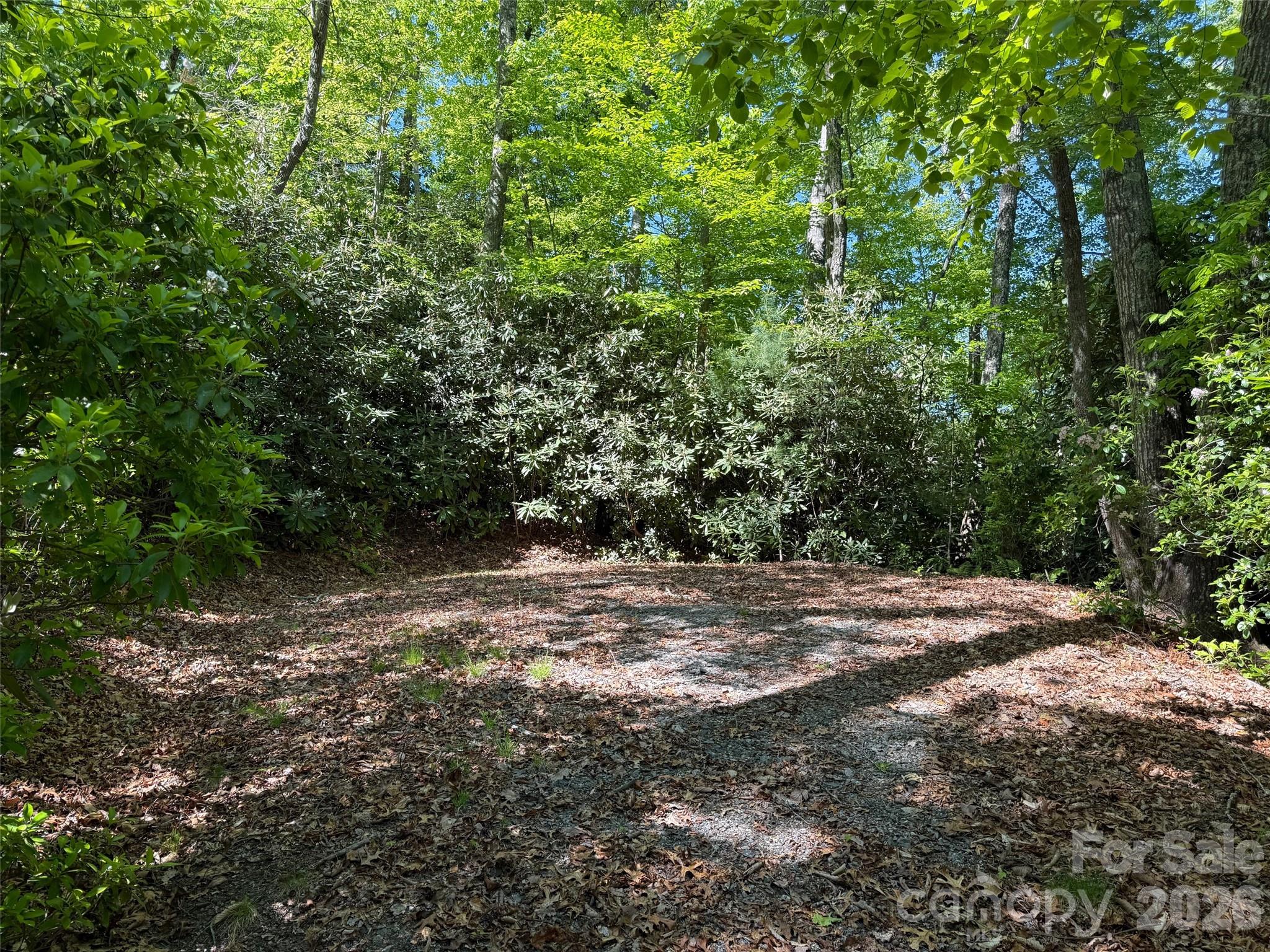 10C Reserve Road Pisgah Forest NC 28768