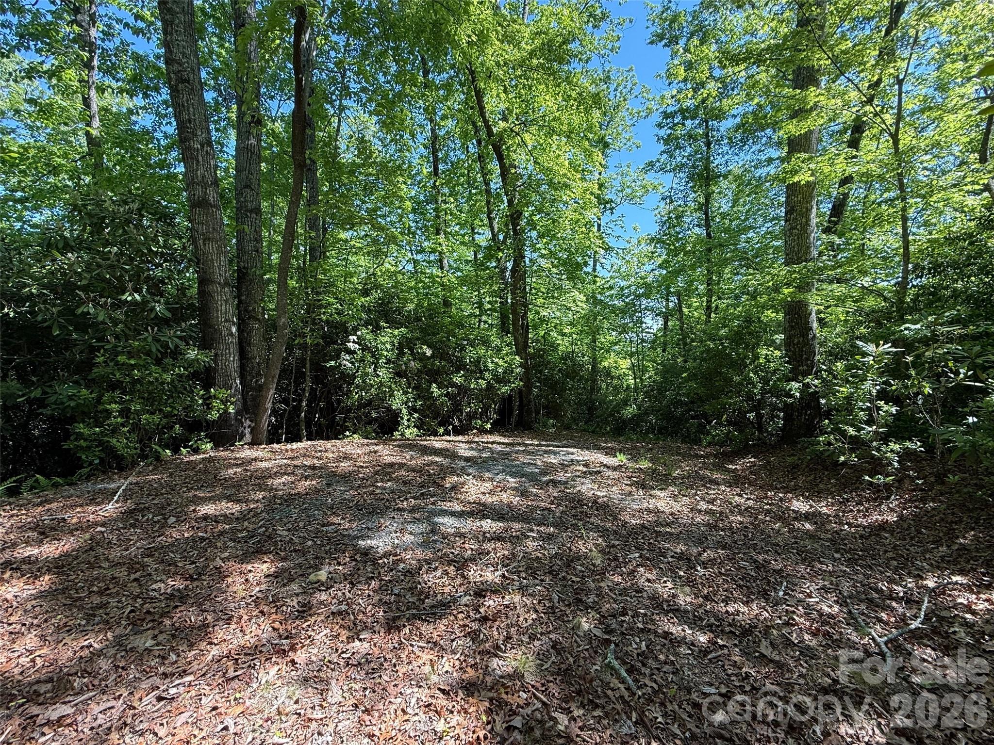 10C Reserve Road Pisgah Forest NC 28768