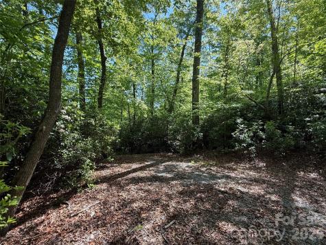 10C Reserve Road Pisgah Forest NC 28768