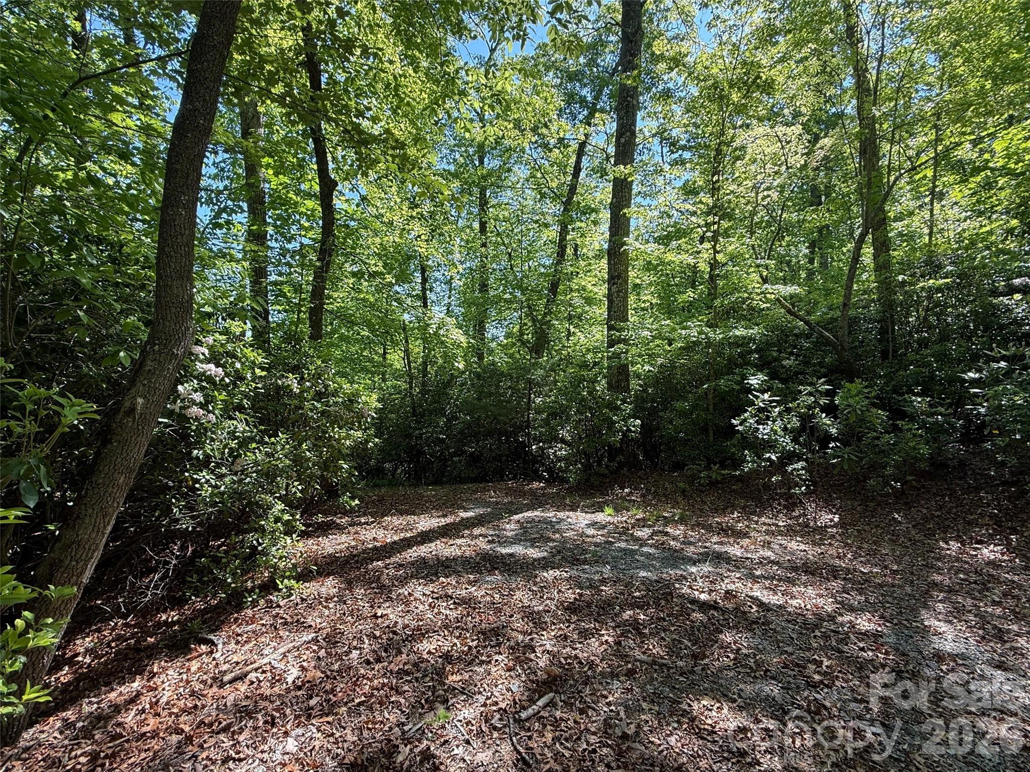 10C Reserve Road Pisgah Forest NC 28768