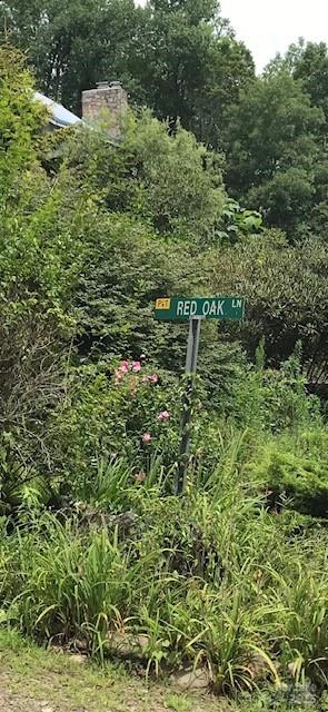 00 Red Oak Lane N Burnsville NC 28714