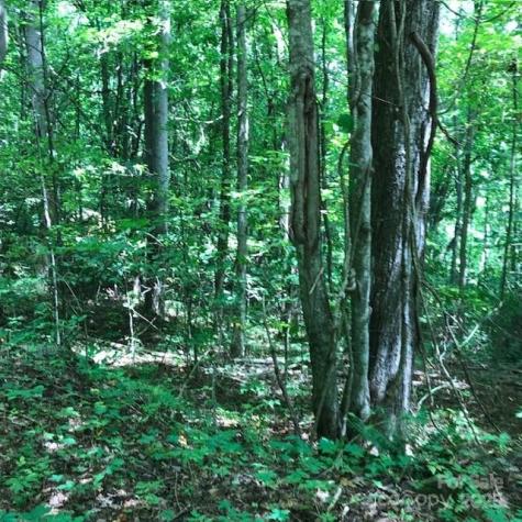 00 Red Oak Lane N Burnsville NC 28714