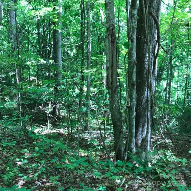 00 Red Oak Lane N Burnsville NC 28714