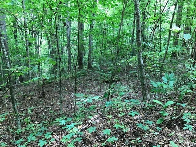 00 Red Oak Lane N Burnsville NC 28714