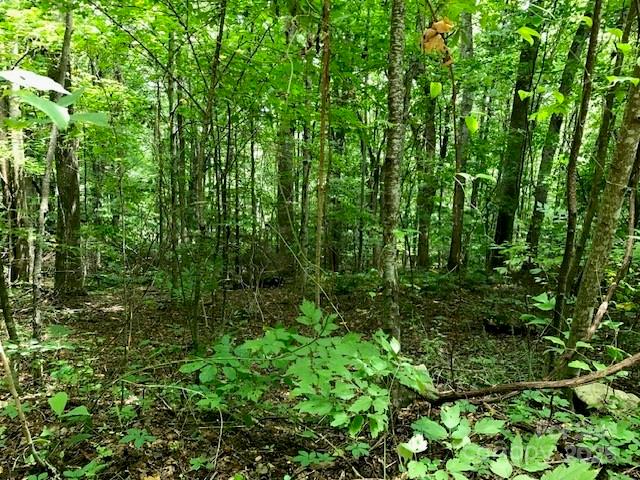 00 Red Oak Lane N Burnsville NC 28714