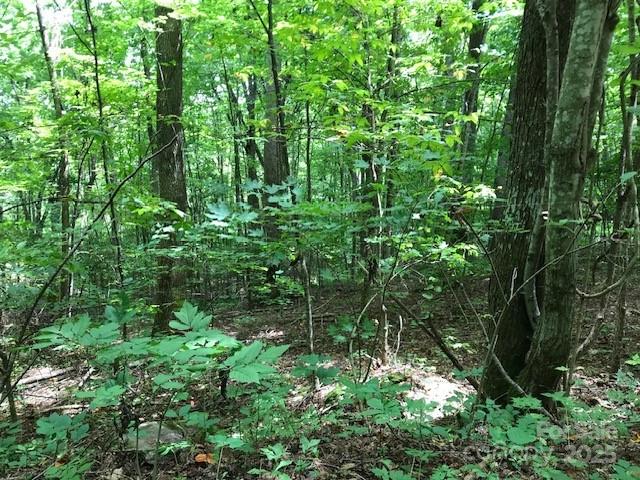 00 Red Oak Lane N Burnsville NC 28714