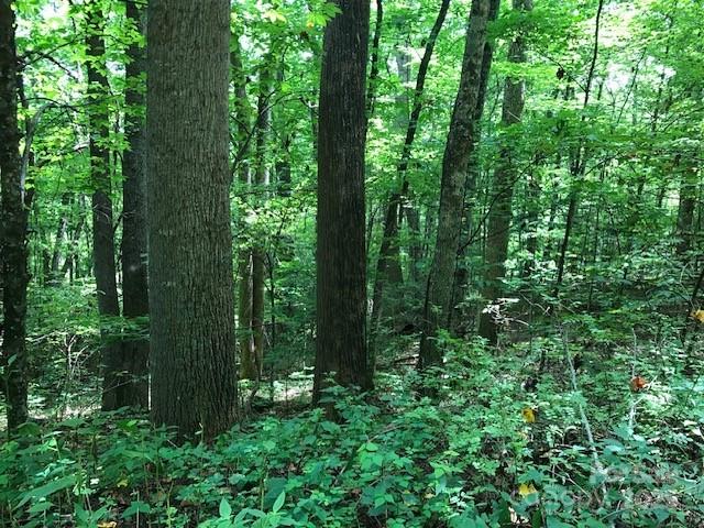 00 Red Oak Lane N Burnsville NC 28714