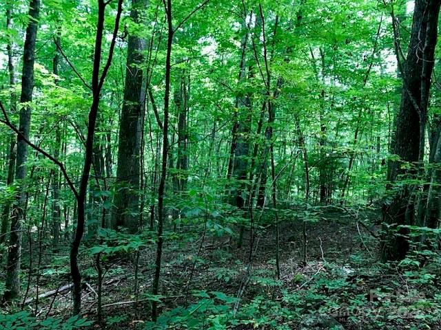 00 Red Oak Lane N Burnsville NC 28714