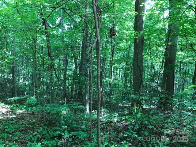 00 Red Oak Lane N Burnsville NC 28714