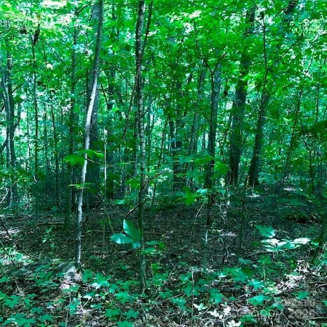 00 Red Oak Lane N Burnsville NC 28714