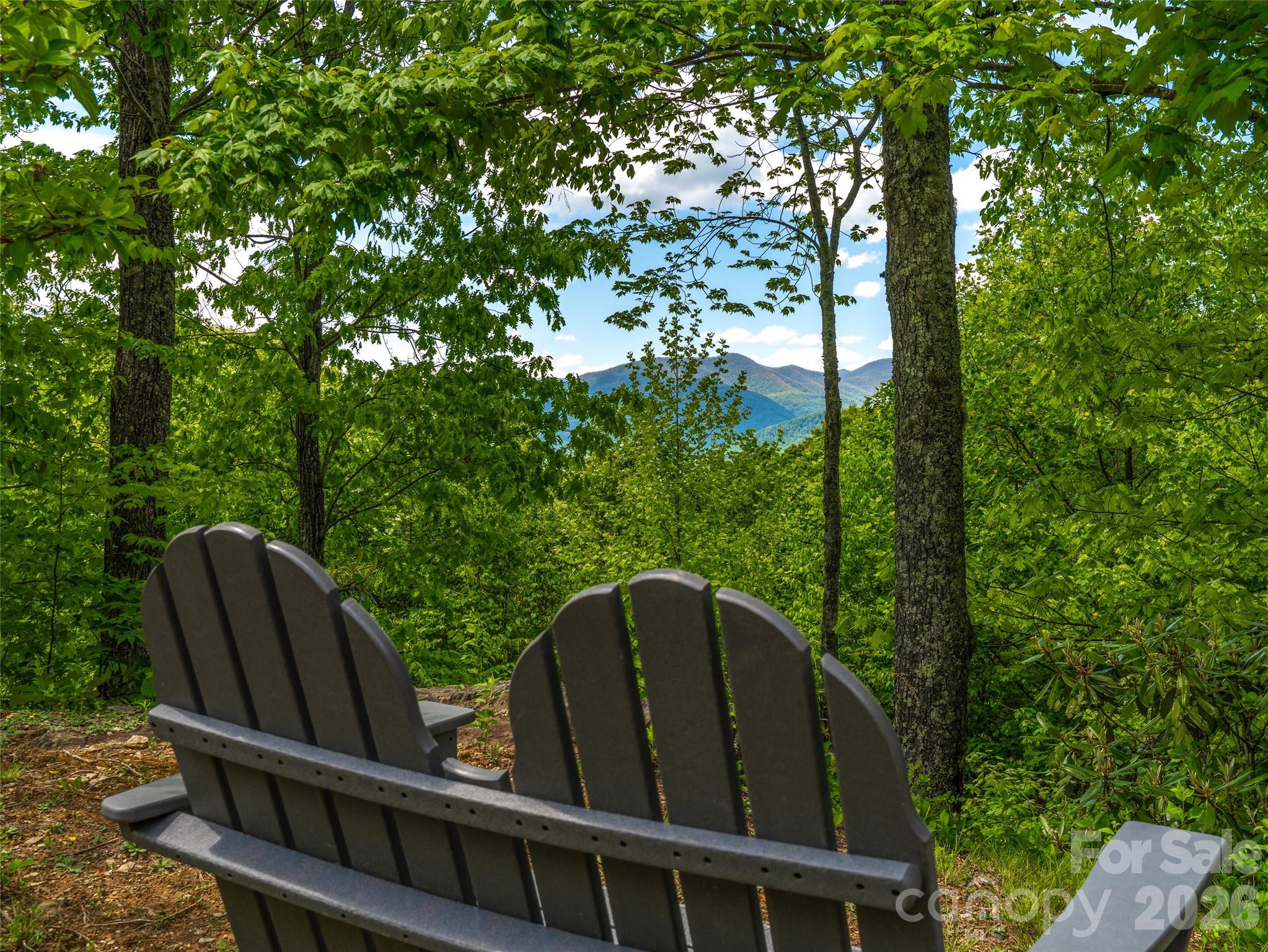 9 Crockett Ridge Road Black Mountain NC 28711