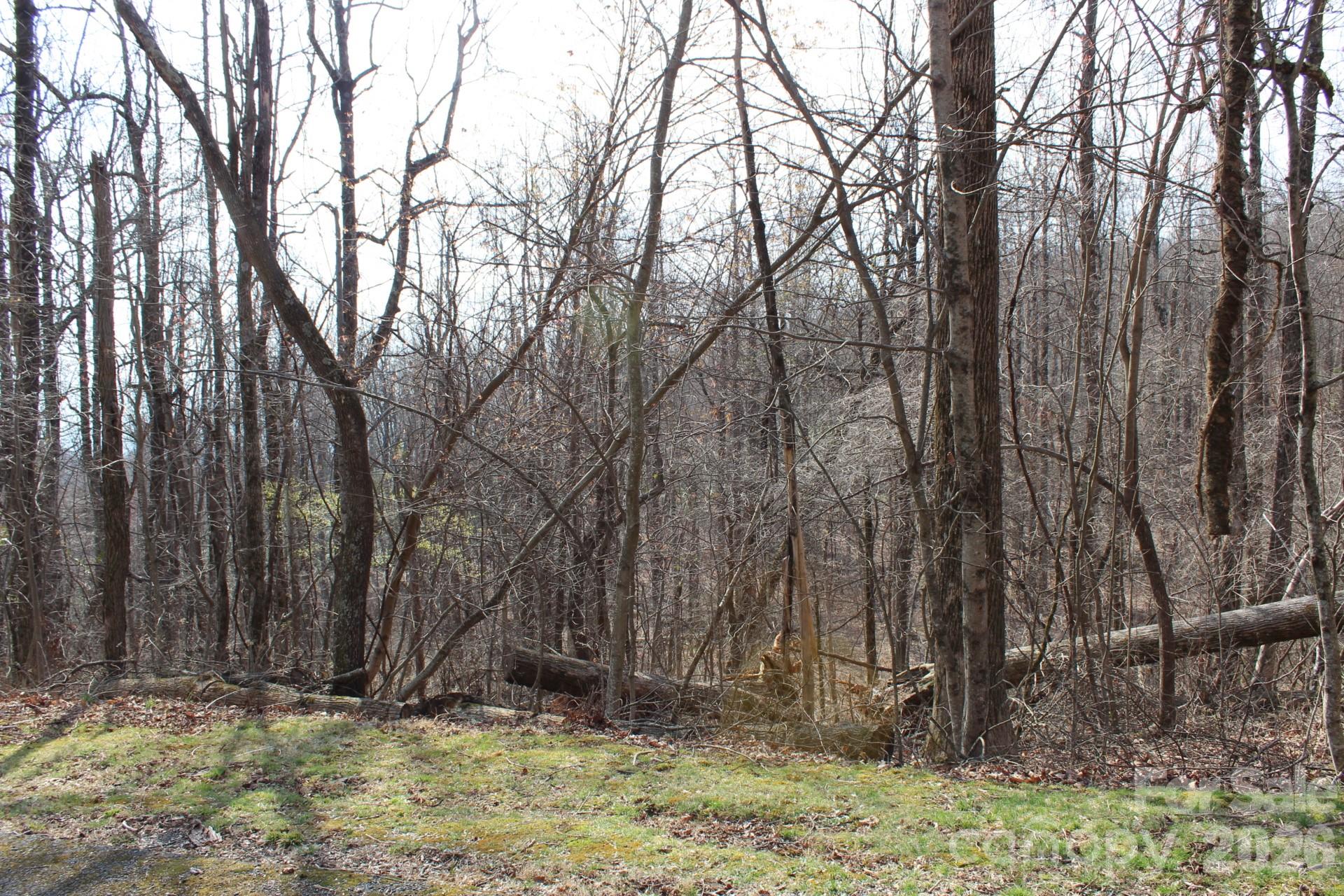 Lot 20 Sunset Ridge Drive Columbus NC 28722
