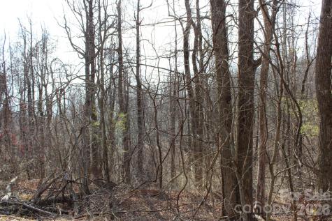 Lot 20 Sunset Ridge Drive Columbus NC 28722