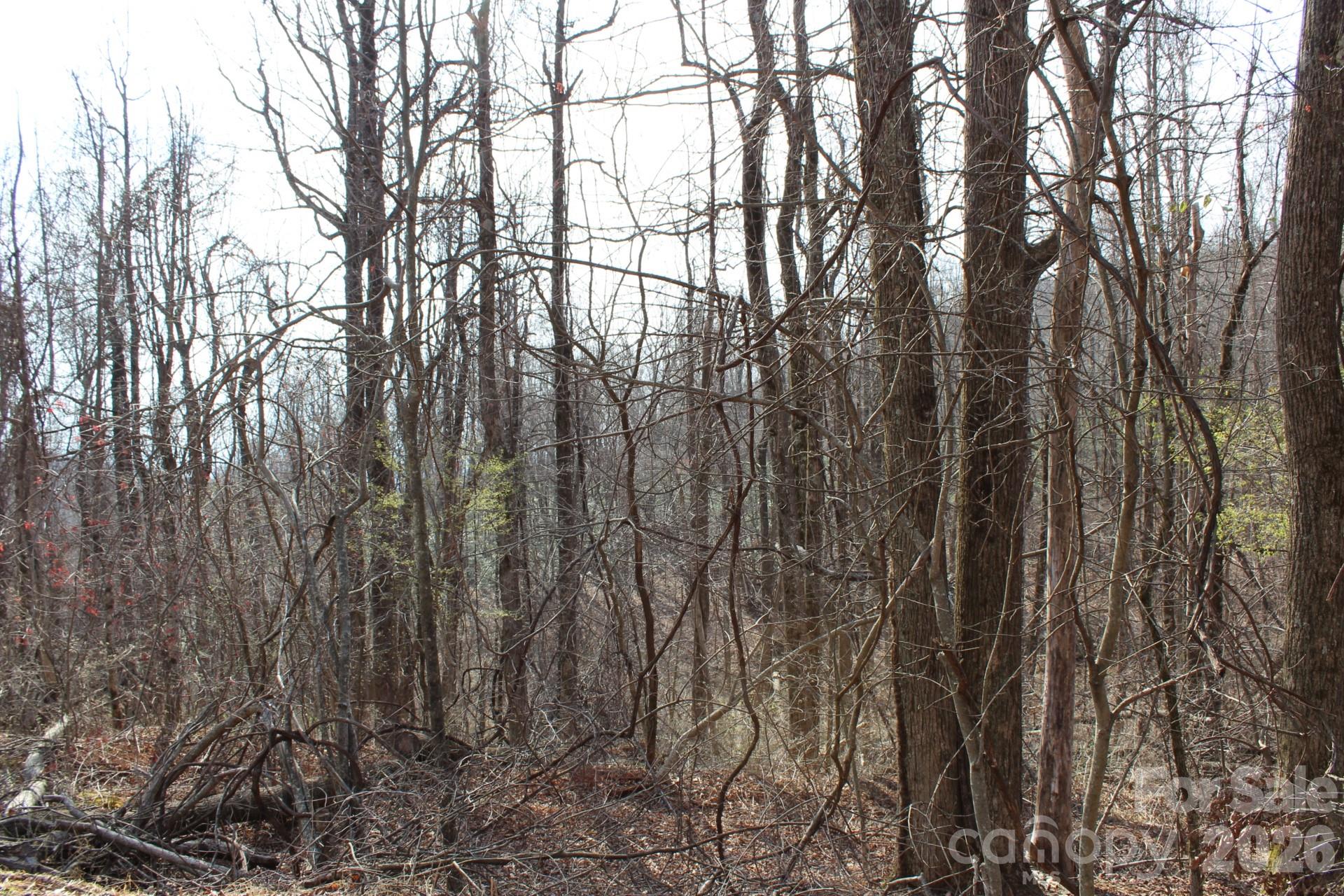 Lot 20 Sunset Ridge Drive Columbus NC 28722