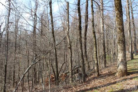 Lot 20 Sunset Ridge Drive Columbus NC 28722