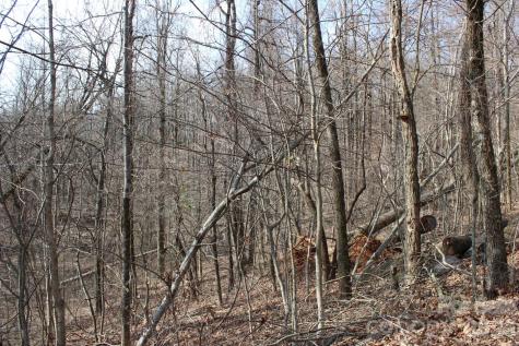 Lot 20 Sunset Ridge Drive Columbus NC 28722