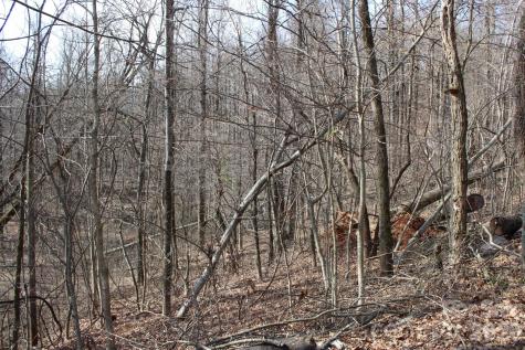Lot 20 Sunset Ridge Drive Columbus NC 28722