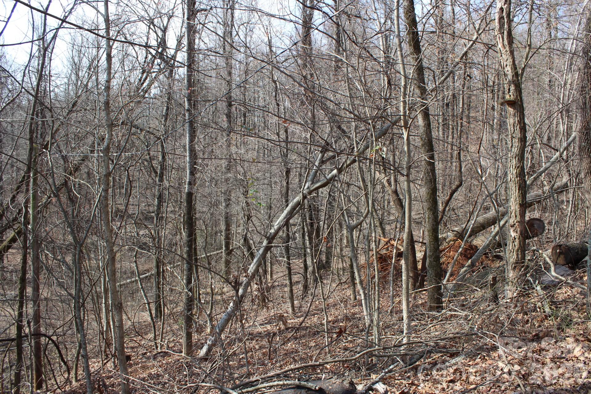 Lot 20 Sunset Ridge Drive Columbus NC 28722