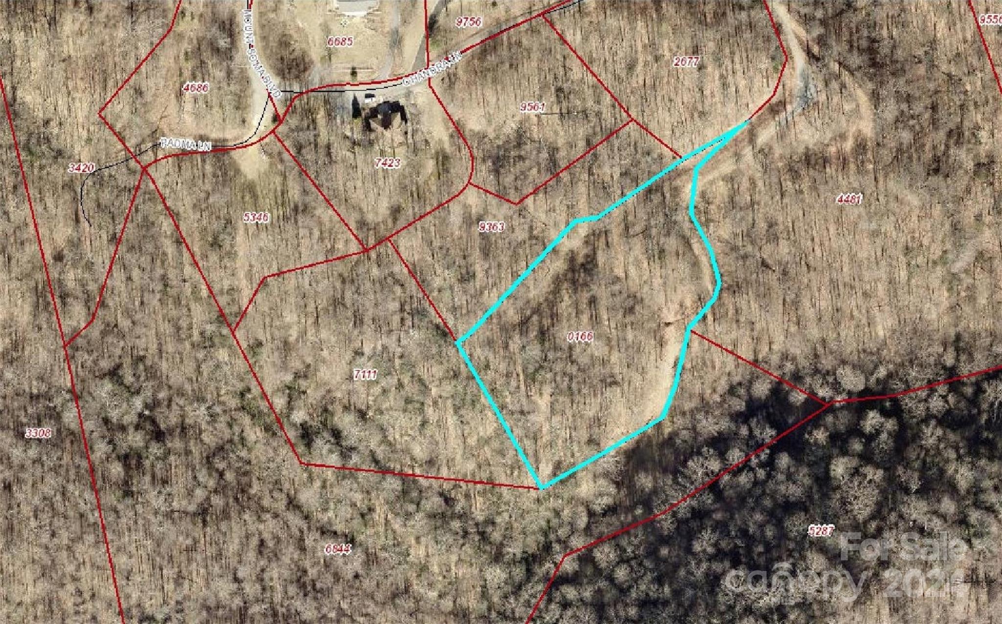 000 Chandra Lane Leicester NC 28748