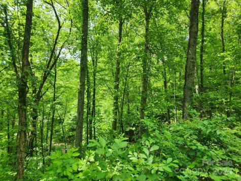 000 Chandra Lane Leicester NC 28748