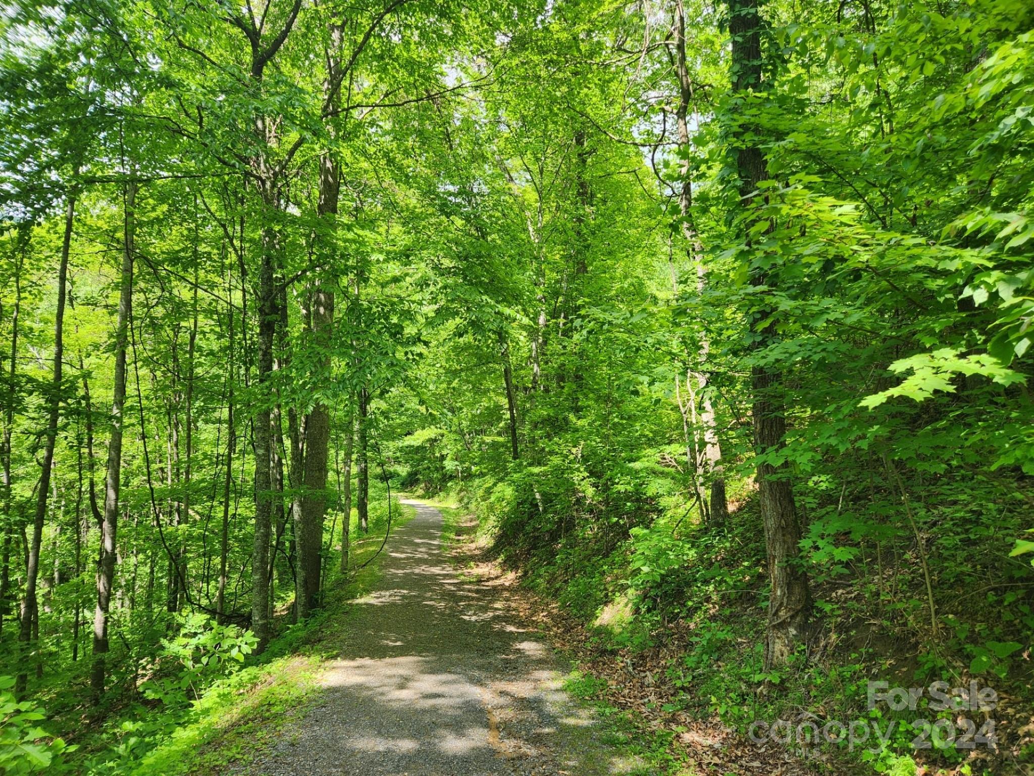 000 Chandra Lane Leicester NC 28748