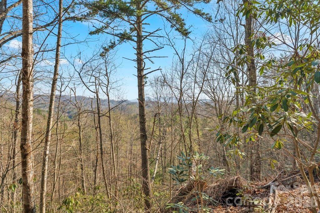 Tbd Rominger Road Sugar Grove NC 28679