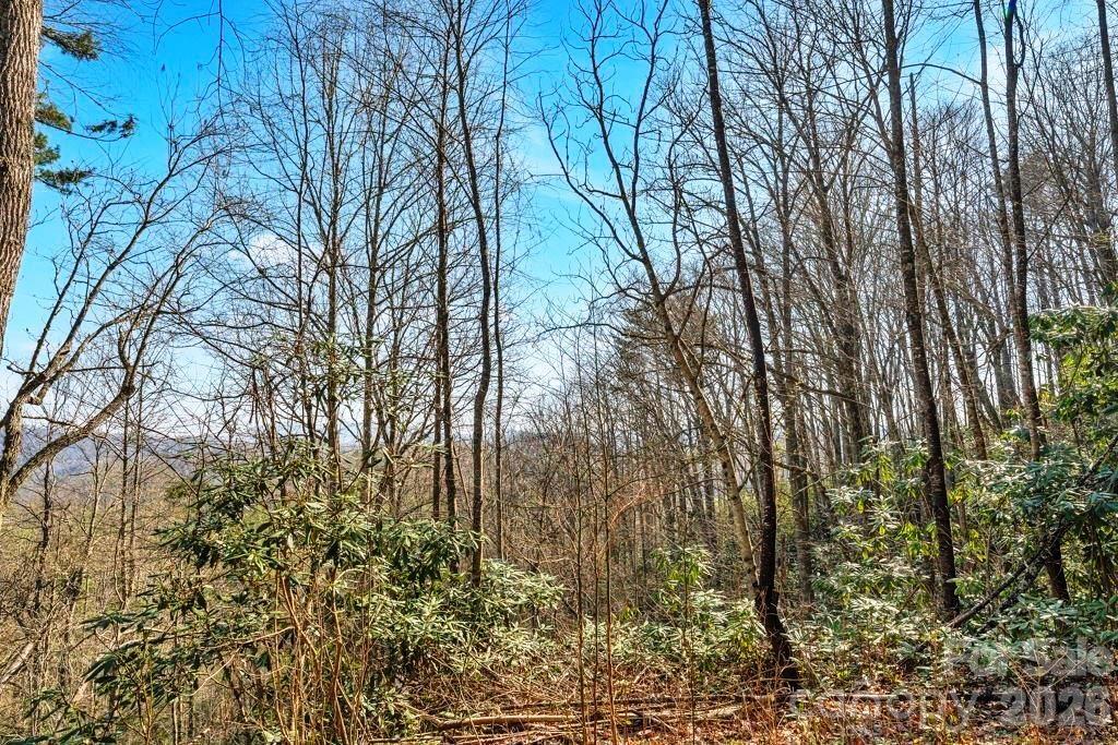 Tbd Rominger Road Sugar Grove NC 28679