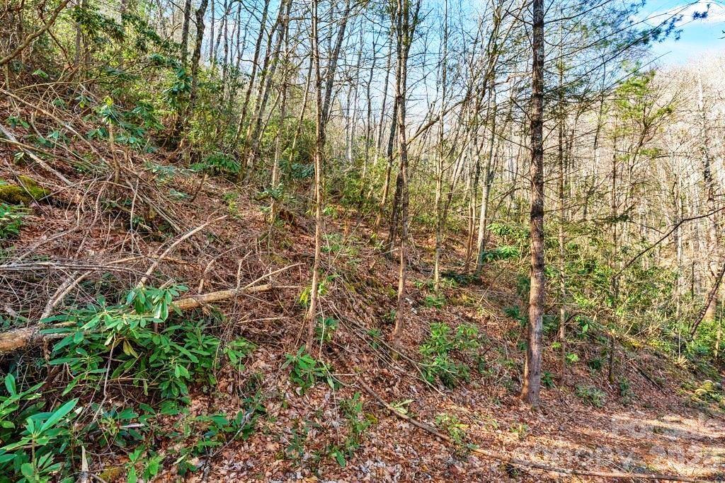 Tbd Rominger Road Sugar Grove NC 28679