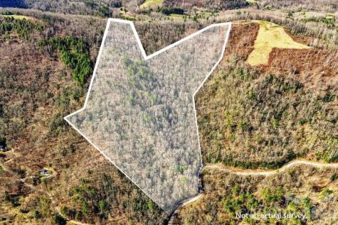 Tbd Rominger Road Sugar Grove NC 28679