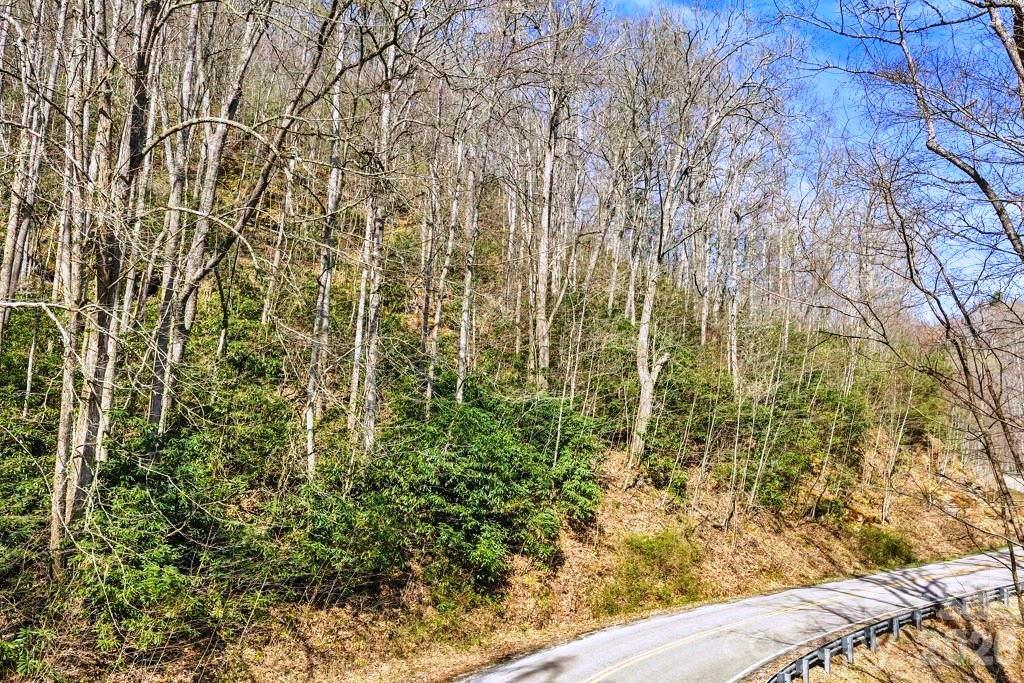 Tbd Rominger Road Sugar Grove NC 28679