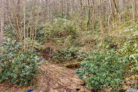 Tbd Rominger Road Sugar Grove NC 28679