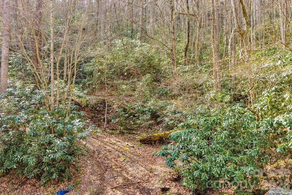 Tbd Rominger Road Sugar Grove NC 28679