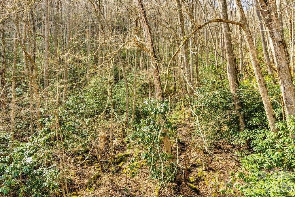 Tbd Rominger Road Sugar Grove NC 28679