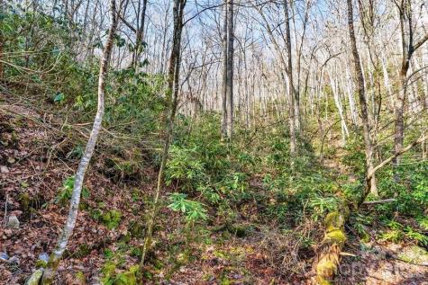 Tbd Rominger Road Sugar Grove NC 28679