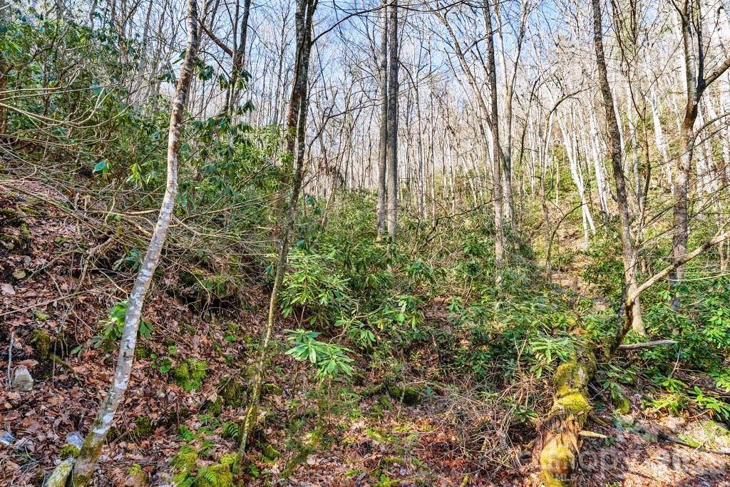 Tbd Rominger Road Sugar Grove NC 28679