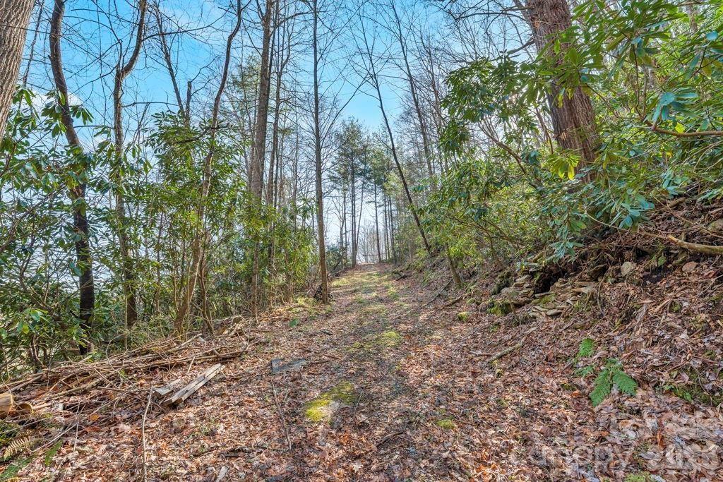 Tbd Rominger Road Sugar Grove NC 28679