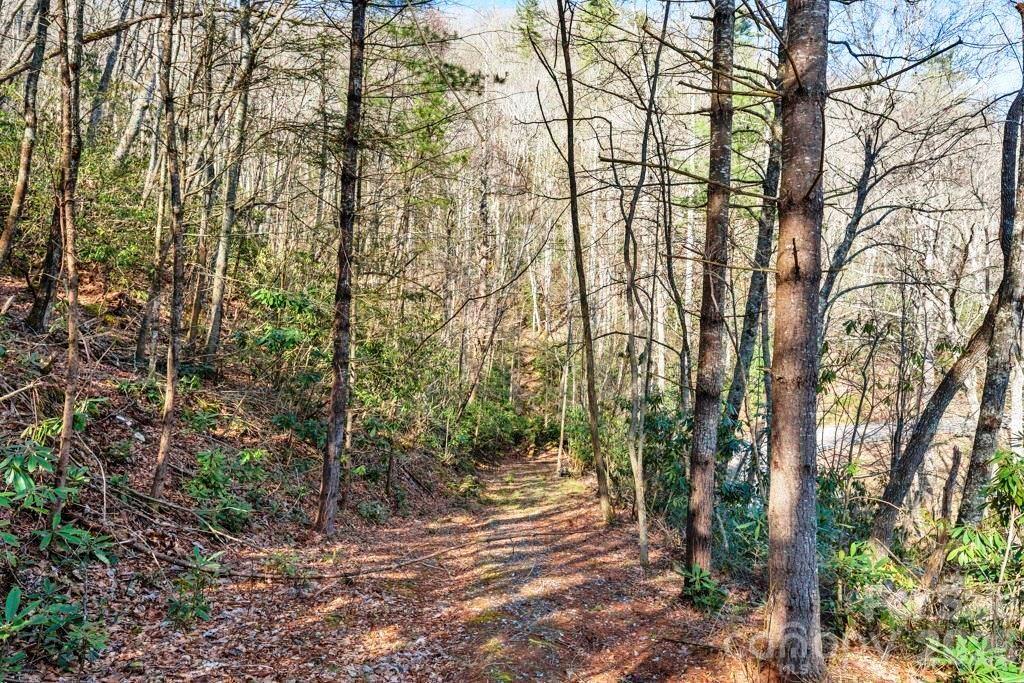Tbd Rominger Road Sugar Grove NC 28679