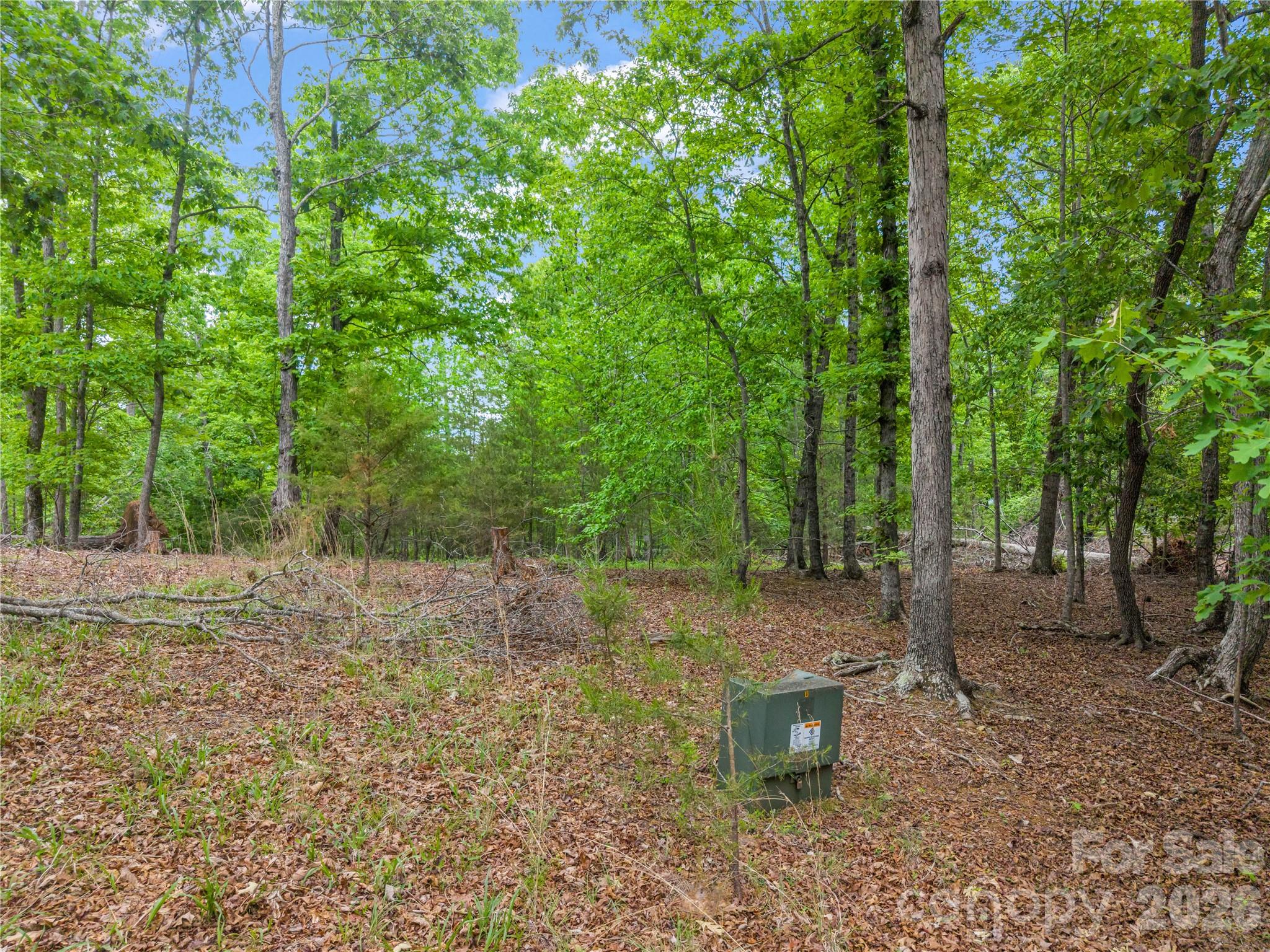 0 Wilderness Ridge Rutherfordton NC 28139